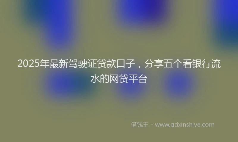 2025年最新驾驶证贷款口子，分享五个看银行流水的网贷平台