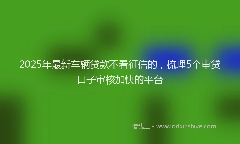 2025年最新车辆贷款不看征信的，梳理5个审贷口子审核加快的平台