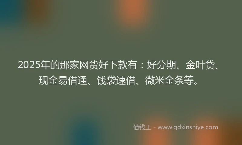 2025年的那家网货好下款有：好分期、金叶贷、现金易借通、钱袋速借、微米金条等。