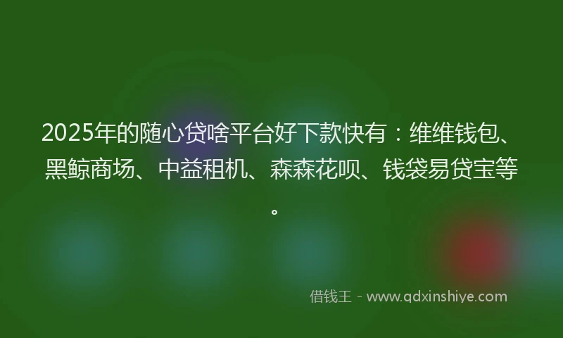 2025年的随心贷啥平台好下款快有:维维钱包、黑鲸商场、中益租机、森森花呗、钱袋易贷宝等。