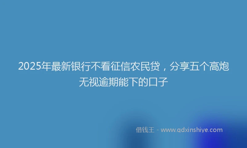 2025年最新银行不看征信农民贷，分享五个高炮无视逾期能下的口子