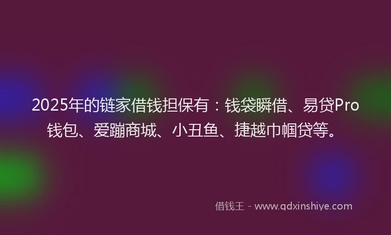 2025年的链家借钱担保有：钱袋瞬借、易贷Pro钱包、爱蹦商城、小丑鱼、捷越巾帼贷等。