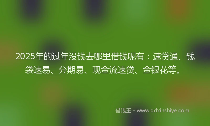 2025年的过年没钱去哪里借钱呢有：速贷通、钱袋速易、分期易、现金流速贷、金银花等。
