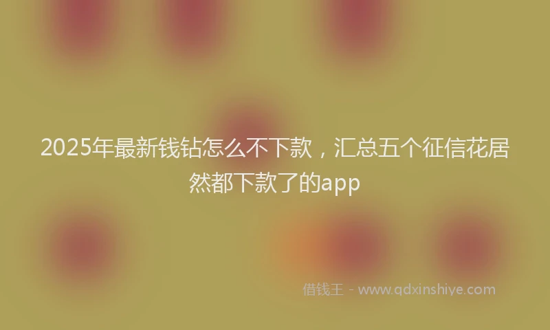 2025年最新钱钻怎么不下款，汇总五个征信花居然都下款了的app