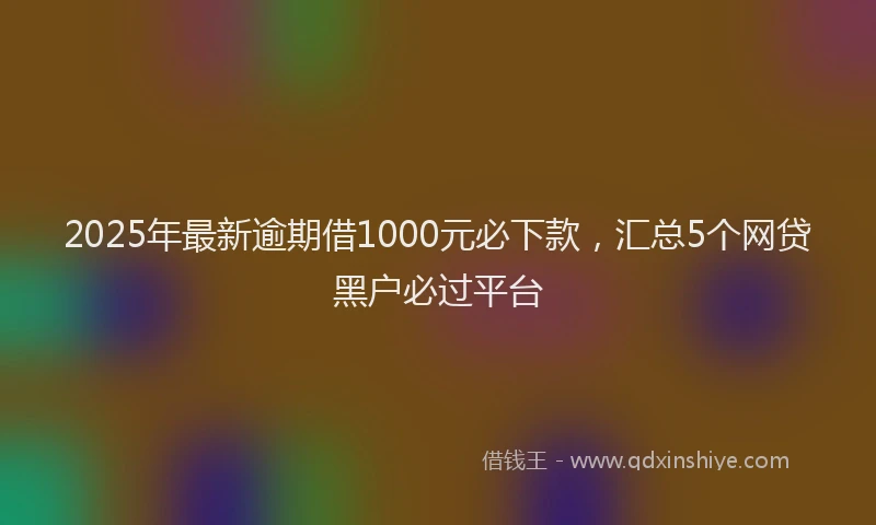 2025年最新逾期借1000元必下款，汇总5个网贷黑户必过平台