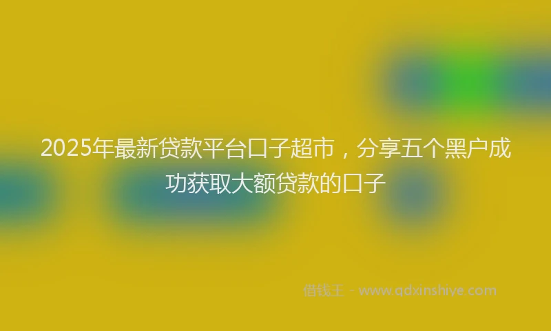 2025年最新贷款平台口子超市，分享五个黑户成功获取大额贷款的口子