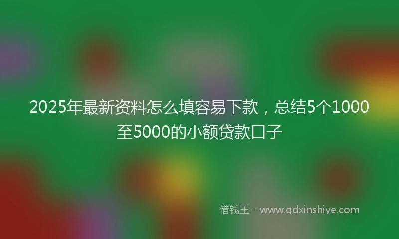 2025年最新资料怎么填容易下款，总结5个1000至5000的小额贷款口子