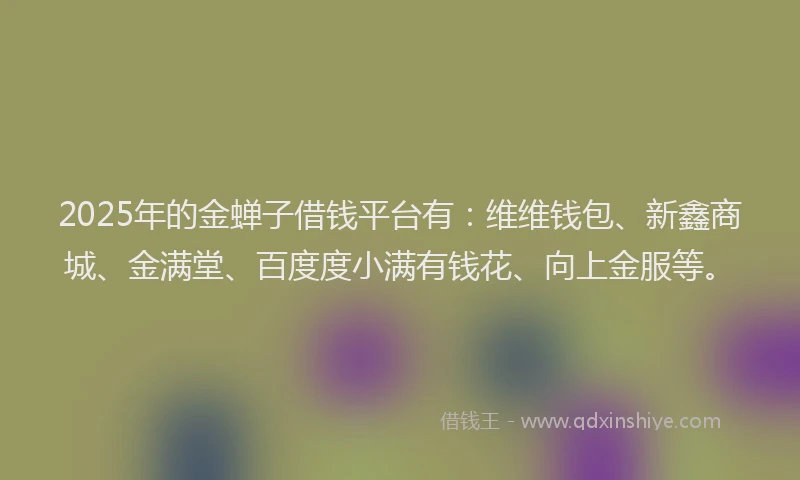 2025年的金蝉子借钱平台有：维维钱包、新鑫商城、金满堂、百度度小满有钱花、向上金服等。