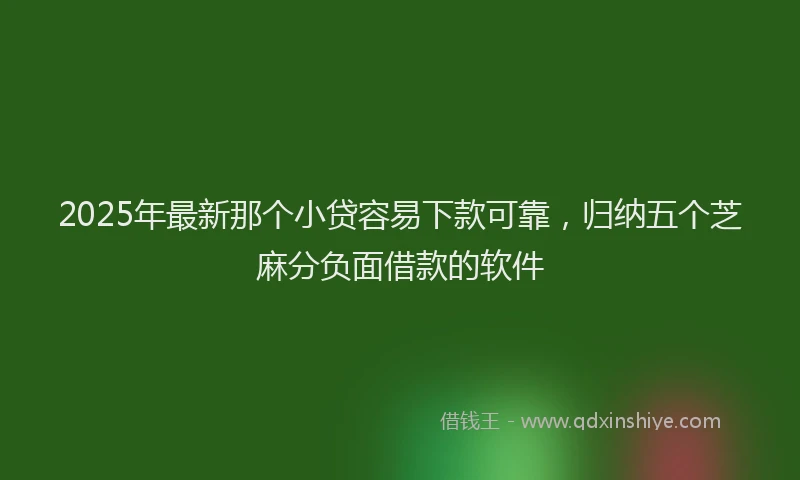 2025年最新那个小贷容易下款可靠，归纳五个芝麻分负面借款的软件