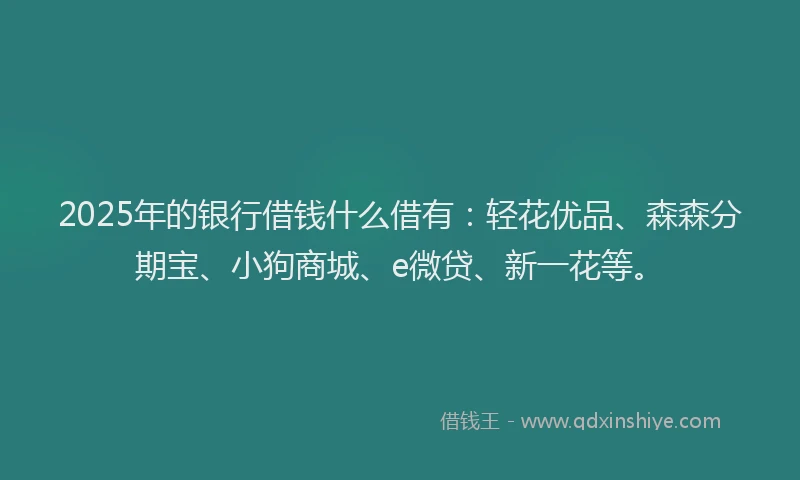 2025年的银行借钱什么借有：轻花优品、森森分期宝、小狗商城、e微贷、新一花等。