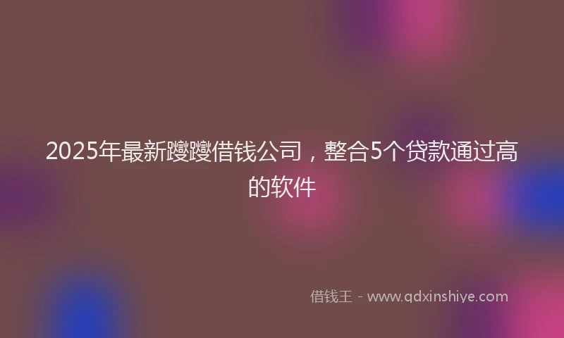 2025年最新躞躞借钱公司，整合5个贷款通过高的软件