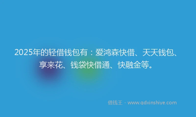 2025年的轻借钱包有：爱鸿森快借、天天钱包、享来花、钱袋快借通、快融金等。
