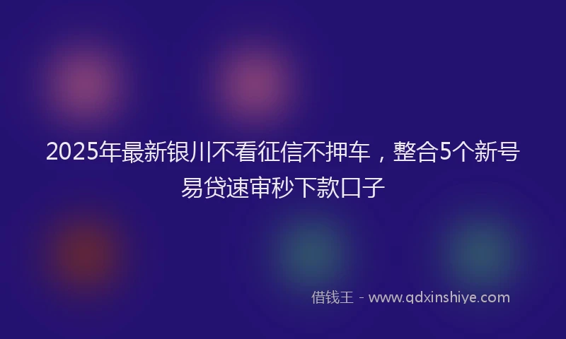 2025年最新银川不看征信不押车，整合5个新号易贷速审秒下款口子