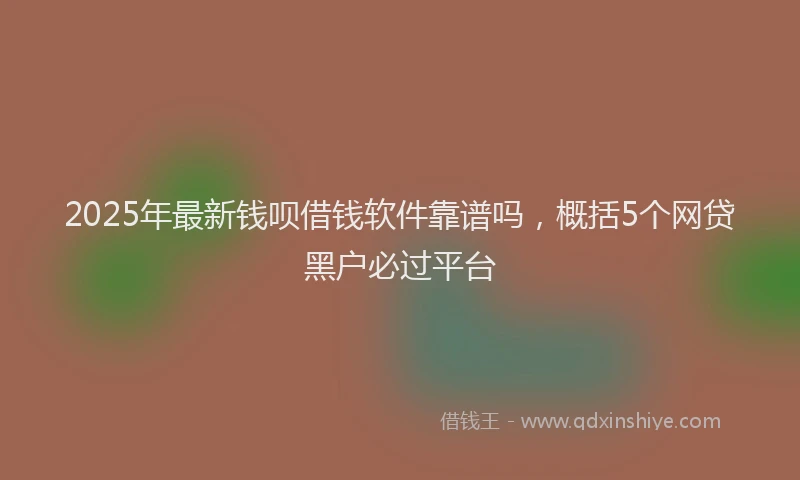 2025年最新钱呗借钱软件靠谱吗，概括5个网贷黑户必过平台