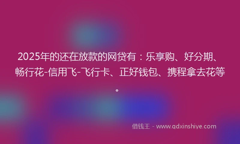 2025年的还在放款的网贷有：乐享购、好分期、畅行花-信用飞-飞行卡、正好钱包、携程拿去花等。