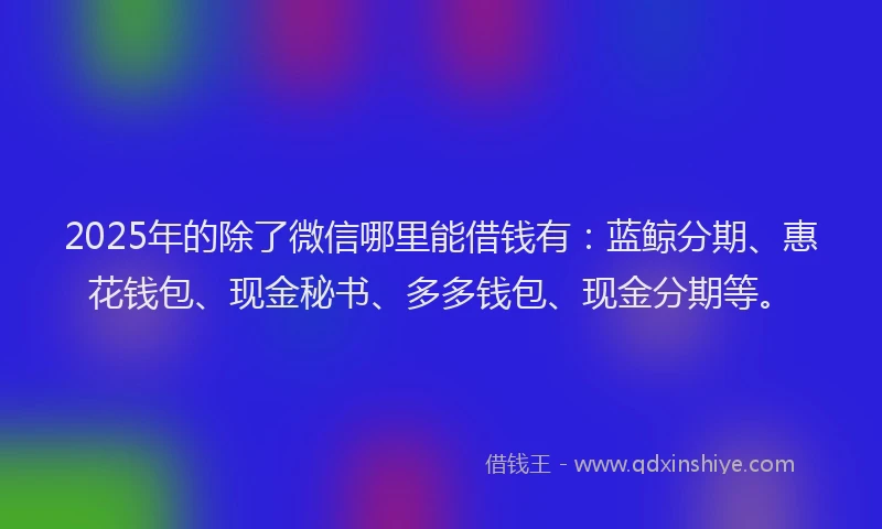 2025年的除了微信哪里能借钱有:蓝鲸分期、惠花钱包、现金秘书、多多钱包、现金分期等。