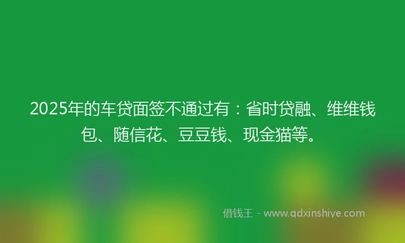 2025年的车贷面签不通过有：省时贷融、维维钱包、随信花、豆豆钱、现金猫等。