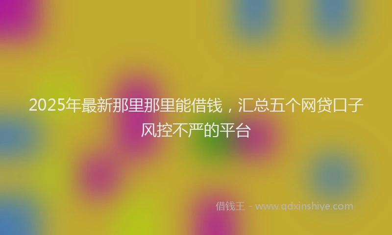 2025年最新那里那里能借钱，汇总五个网贷口子风控不严的平台