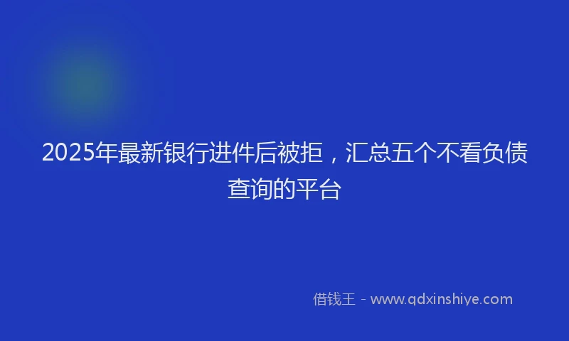 2025年最新银行进件后被拒，汇总五个不看负债查询的平台