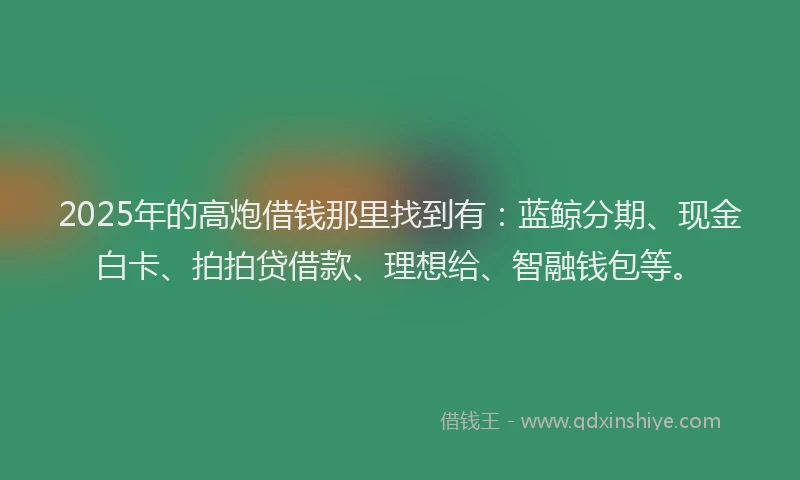 2025年的高炮借钱那里找到有：蓝鲸分期、现金白卡、拍拍贷借款、理想给、智融钱包等。
