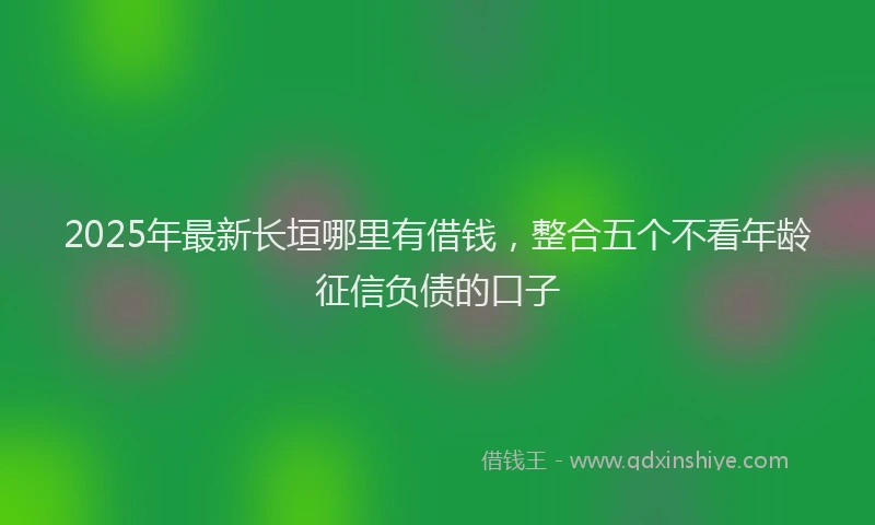 2025年最新长垣哪里有借钱，整合五个不看年龄征信负债的口子