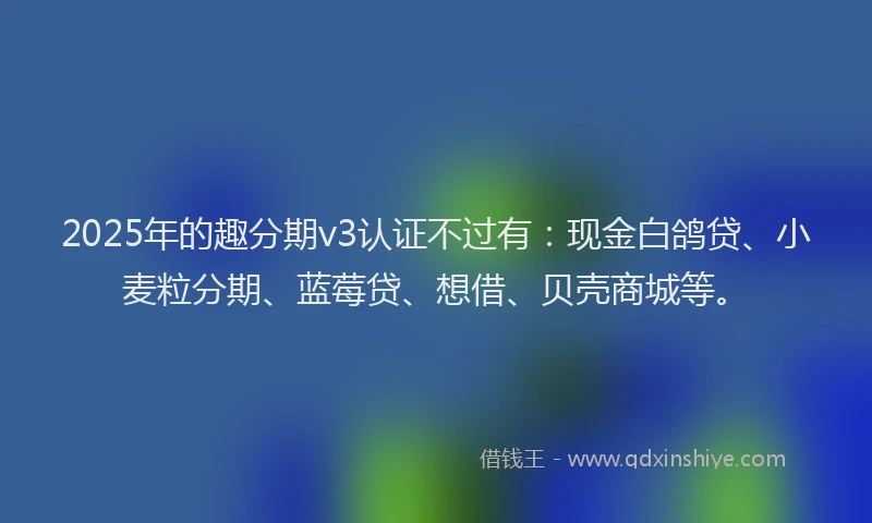 2025年的趣分期v3认证不过有：现金白鸽贷、小麦粒分期、蓝莓贷、想借、贝壳商城等。