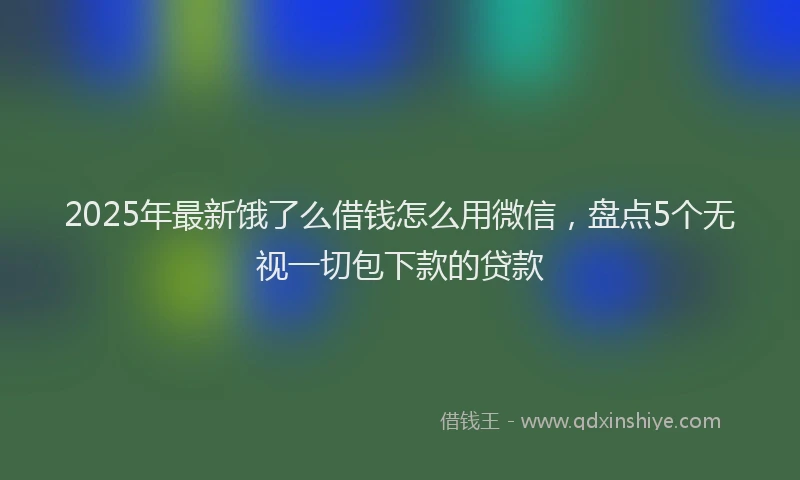 2025年最新饿了么借钱怎么用微信，盘点5个无视一切包下款的贷款