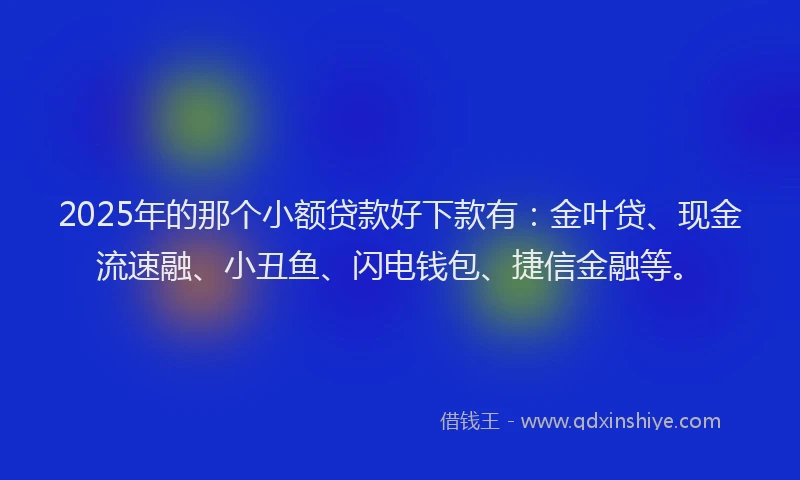 2025年的那个小额贷款好下款有：金叶贷、现金流速融、小丑鱼、闪电钱包、捷信金融等。
