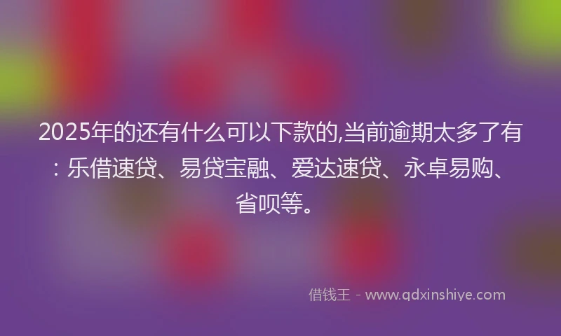 2025年的还有什么可以下款的,当前逾期太多了有：乐借速贷、易贷宝融、爱达速贷、永卓易购、省呗等。