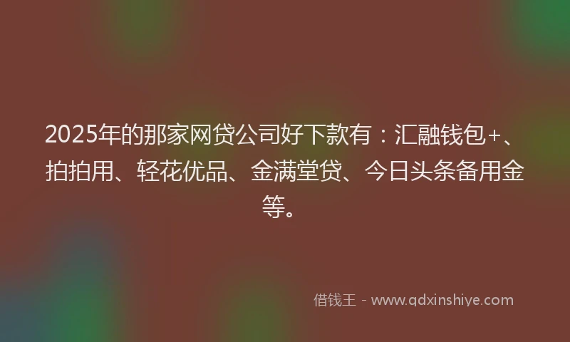 2025年的那家网贷公司好下款有：汇融钱包+、拍拍用、轻花优品、金满堂贷、今日头条备用金等。