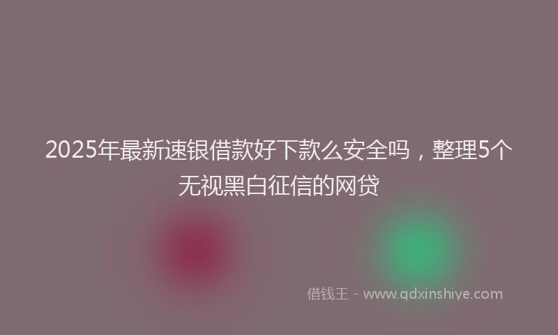 2025年最新速银借款好下款么安全吗，整理5个无视黑白征信的网贷