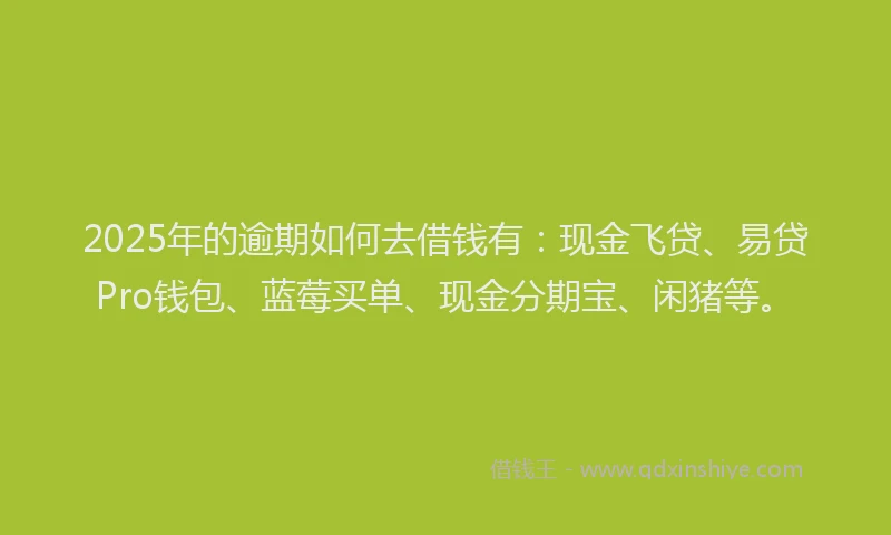 2025年的逾期如何去借钱有：现金飞贷、易贷Pro钱包、蓝莓买单、现金分期宝、闲猪等。