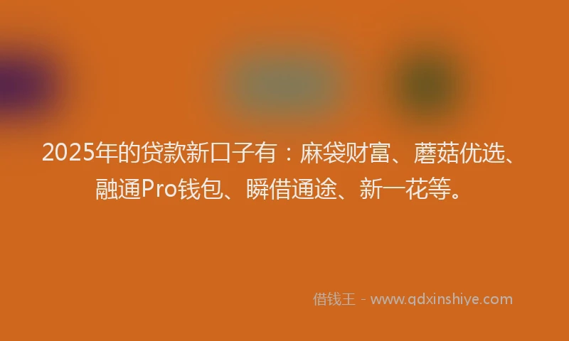 2025年的贷款新口子有：麻袋财富、蘑菇优选、融通Pro钱包、瞬借通途、新一花等。