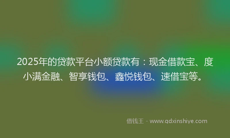 2025年的贷款平台小额贷款有：现金借款宝、度小满金融、智享钱包、鑫悦钱包、速借宝等。