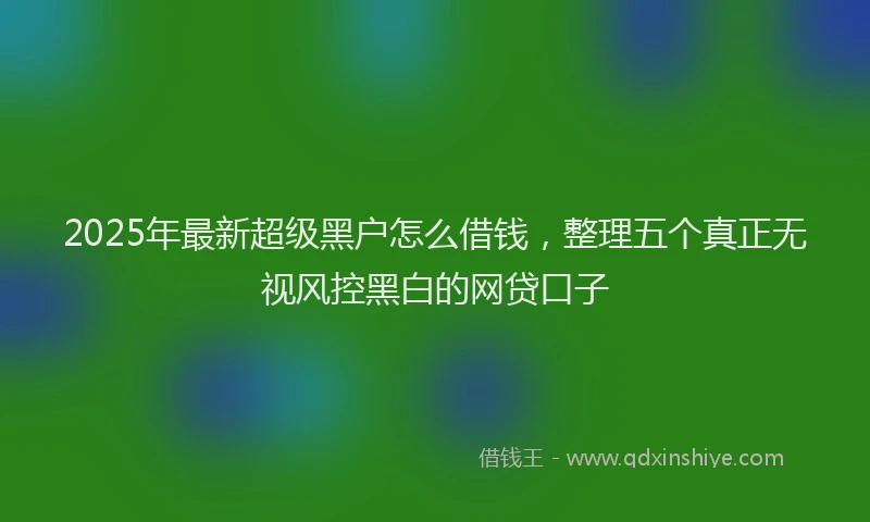 2025年最新超级黑户怎么借钱，整理五个真正无视风控黑白的网贷口子