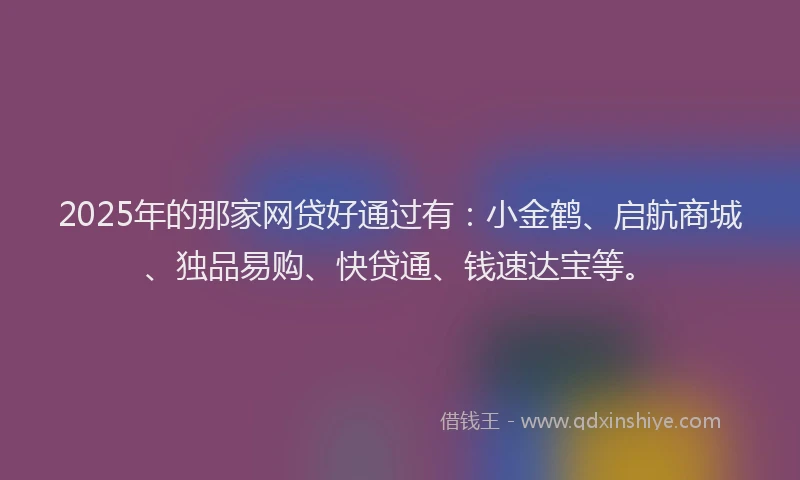 2025年的那家网贷好通过有：小金鹤、启航商城、独品易购、快贷通、钱速达宝等。