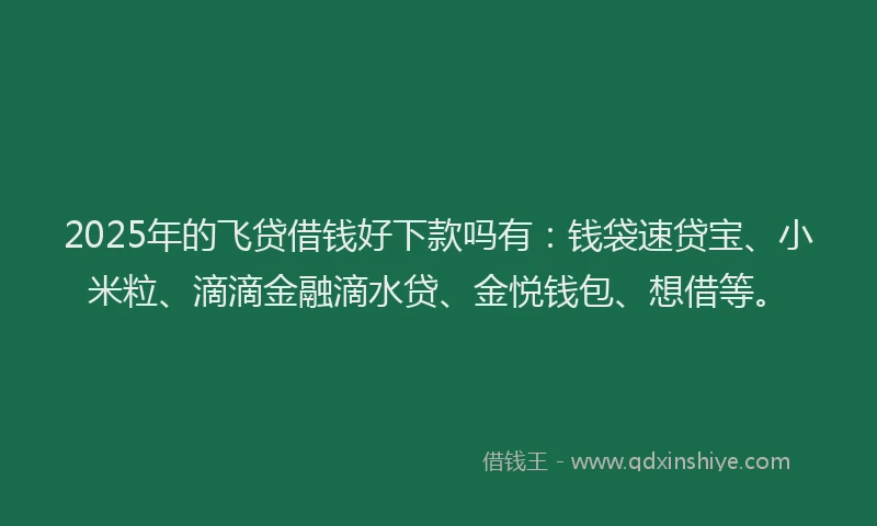 2025年的飞贷借钱好下款吗有：钱袋速贷宝、小米粒、滴滴金融滴水贷、金悦钱包、想借等。