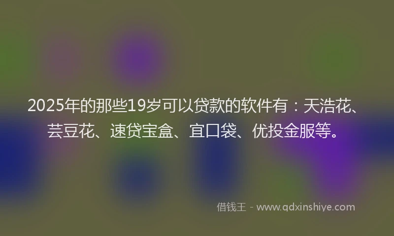 2025年的那些19岁可以贷款的软件有：天浩花、芸豆花、速贷宝盒、宜口袋、优投金服等。