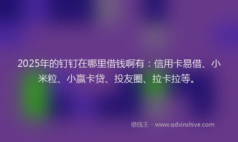 2025年的钉钉在哪里借钱啊有：信用卡易借、小米粒、小赢卡贷、投友圈、拉卡拉等。