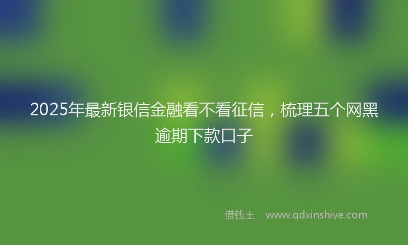 2025年最新银信金融看不看征信，梳理五个网黑逾期下款口子
