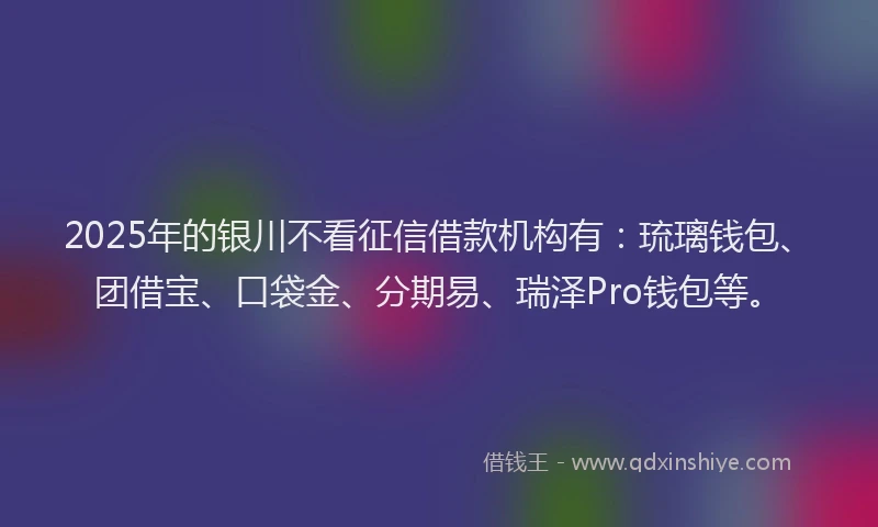 2025年的银川不看征信借款机构有：琉璃钱包、团借宝、口袋金、分期易、瑞泽Pro钱包等。