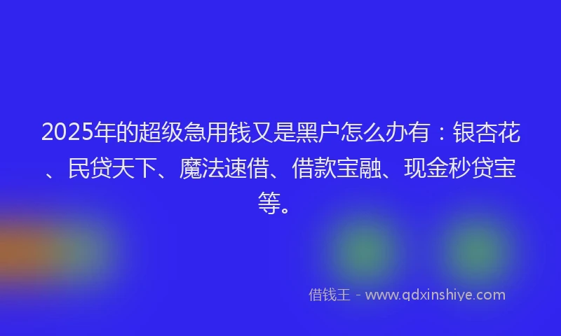 2025年的超级急用钱又是黑户怎么办有：银杏花、民贷天下、魔法速借、借款宝融、现金秒贷宝等。