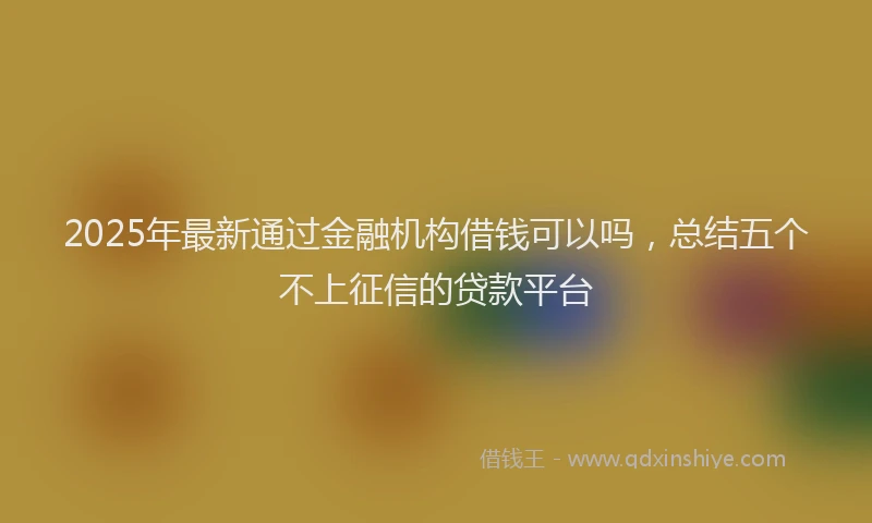 2025年最新通过金融机构借钱可以吗，总结五个不上征信的贷款平台