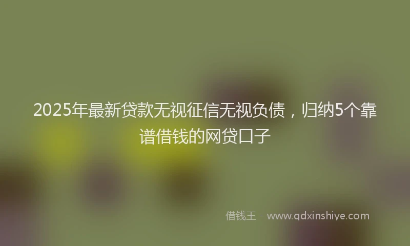 2025年最新贷款无视征信无视负债，归纳5个靠谱借钱的网贷口子