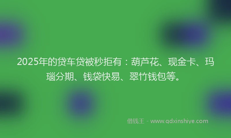 2025年的贷车贷被秒拒有：葫芦花、现金卡、玛瑙分期、钱袋快易、翠竹钱包等。
