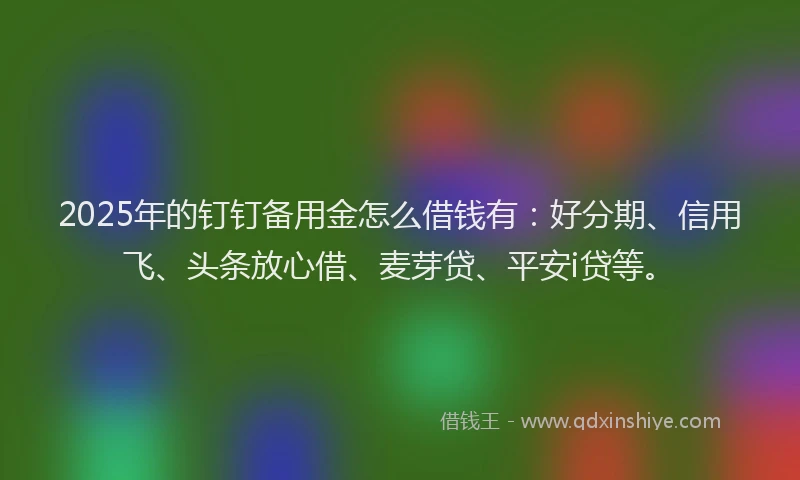 2025年的钉钉备用金怎么借钱有：好分期、信用飞、头条放心借、麦芽贷、平安i贷等。