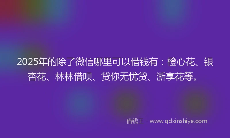 2025年的除了微信哪里可以借钱有：橙心花、银杏花、林林借呗、贷你无忧贷、浙享花等。