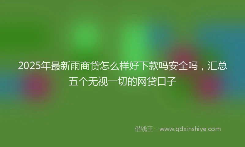 2025年最新雨商贷怎么样好下款吗安全吗，汇总五个无视一切的网贷口子