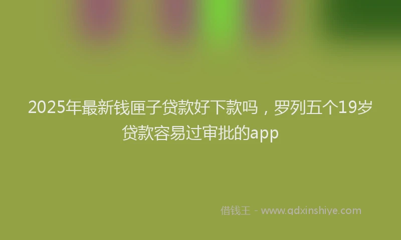 2025年最新钱匣子贷款好下款吗，罗列五个19岁贷款容易过审批的app