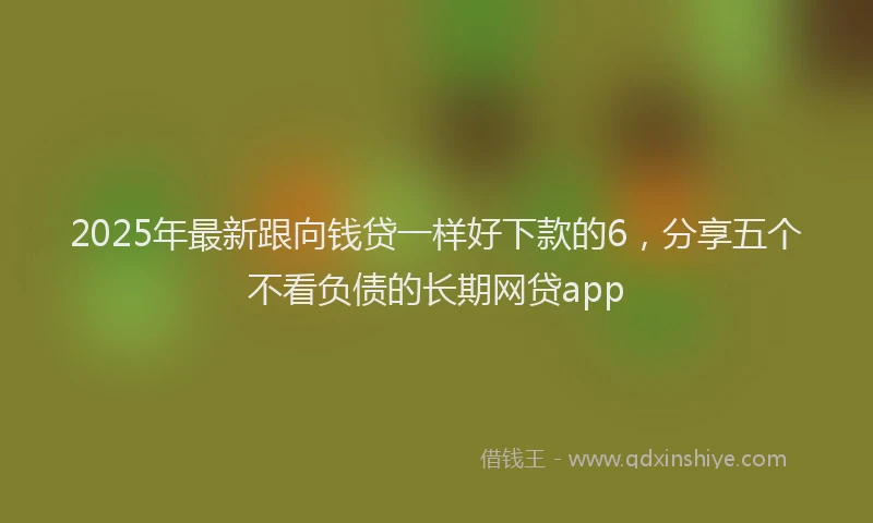 2025年最新跟向钱贷一样好下款的6，分享五个不看负债的长期网贷app